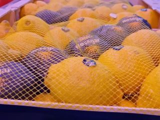Venderemos limones españoles. Muy jugoso. ¡Nosotros invitamos!