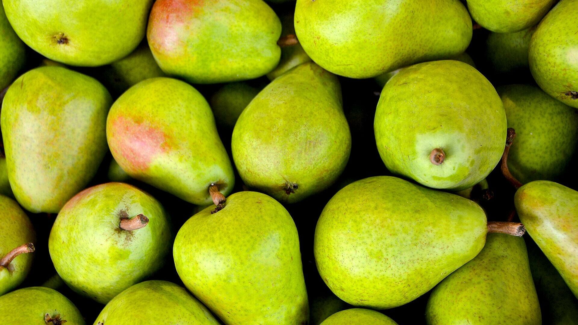 Nuestra Empresa (KATSIS AE) Nuestras variedades de peras: -Pera Krysralli -Pera Santa Maria -Pera Coscia
