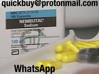 Compre Nembutal, compre pentobarbital sódico en línea póngase en