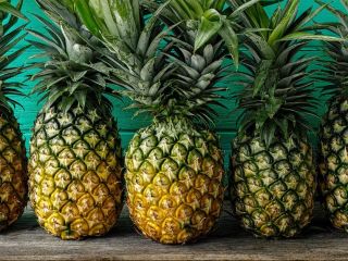 Somos un grupo de productores de piña con base