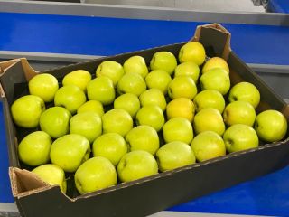 Las manzanas se envasan en cajas, así como muchos