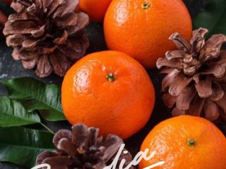 Vendo mandarina clementina española, variedad Clemenules de primera calidad