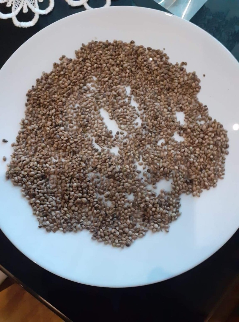 Hola, tengo a la venta alrededor de 20t de cáñamo de la variedad HENOLA, cáñamo limpio 10t 100% pureza, por favor contácteme y coloque una oferta precio por