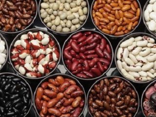Los frijoles al por mayor con la entrega de