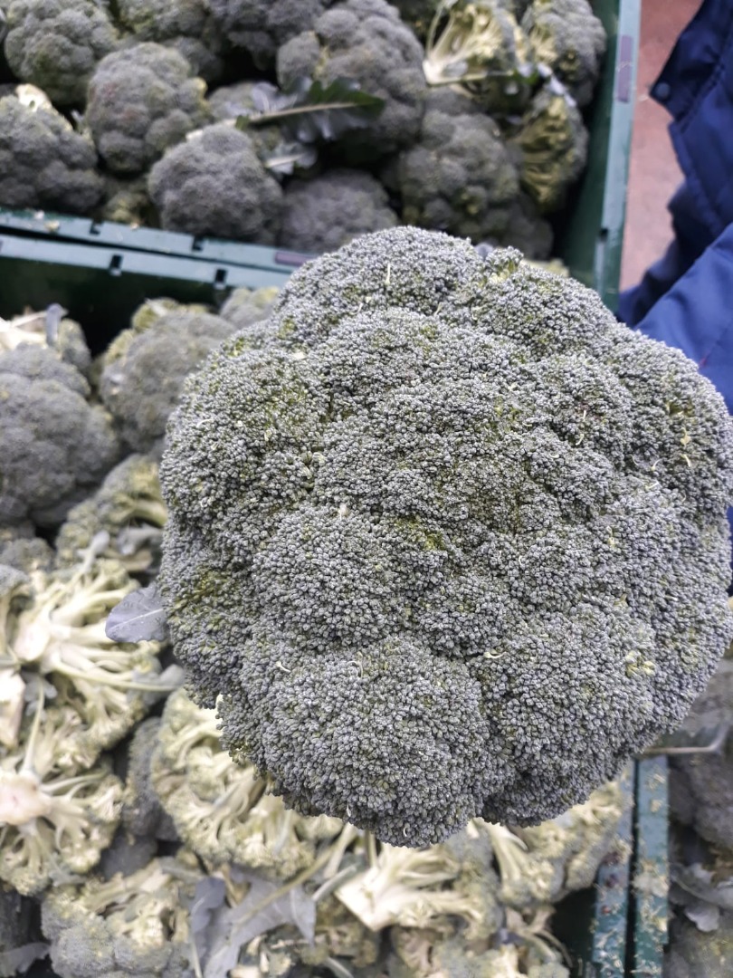 cada pieza de Brocoli pesa 500 gramos entre 1 Kgs
