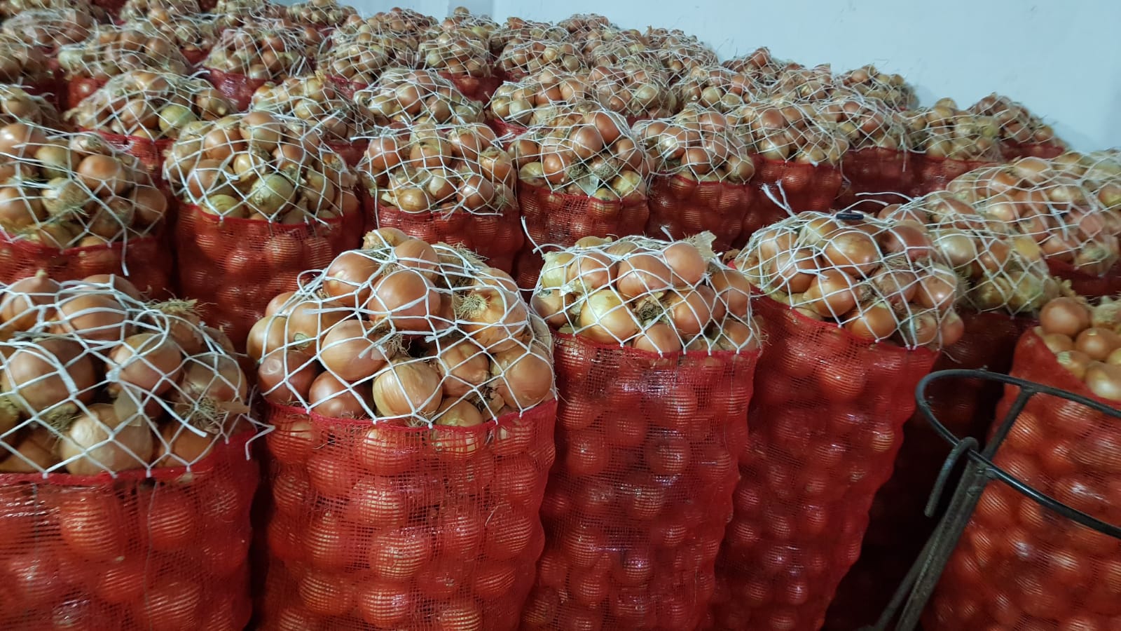 cebollas amarillas y rojas, sacos netos de 25 kg sobre palets de madera