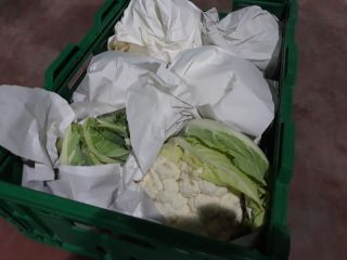 Productos biológicos 500 gramos 1.0 Kgs #Mr. Orhan Veli