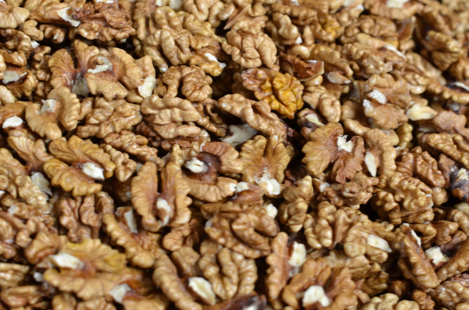 Venderé 30 kg de nueces sin cáscara