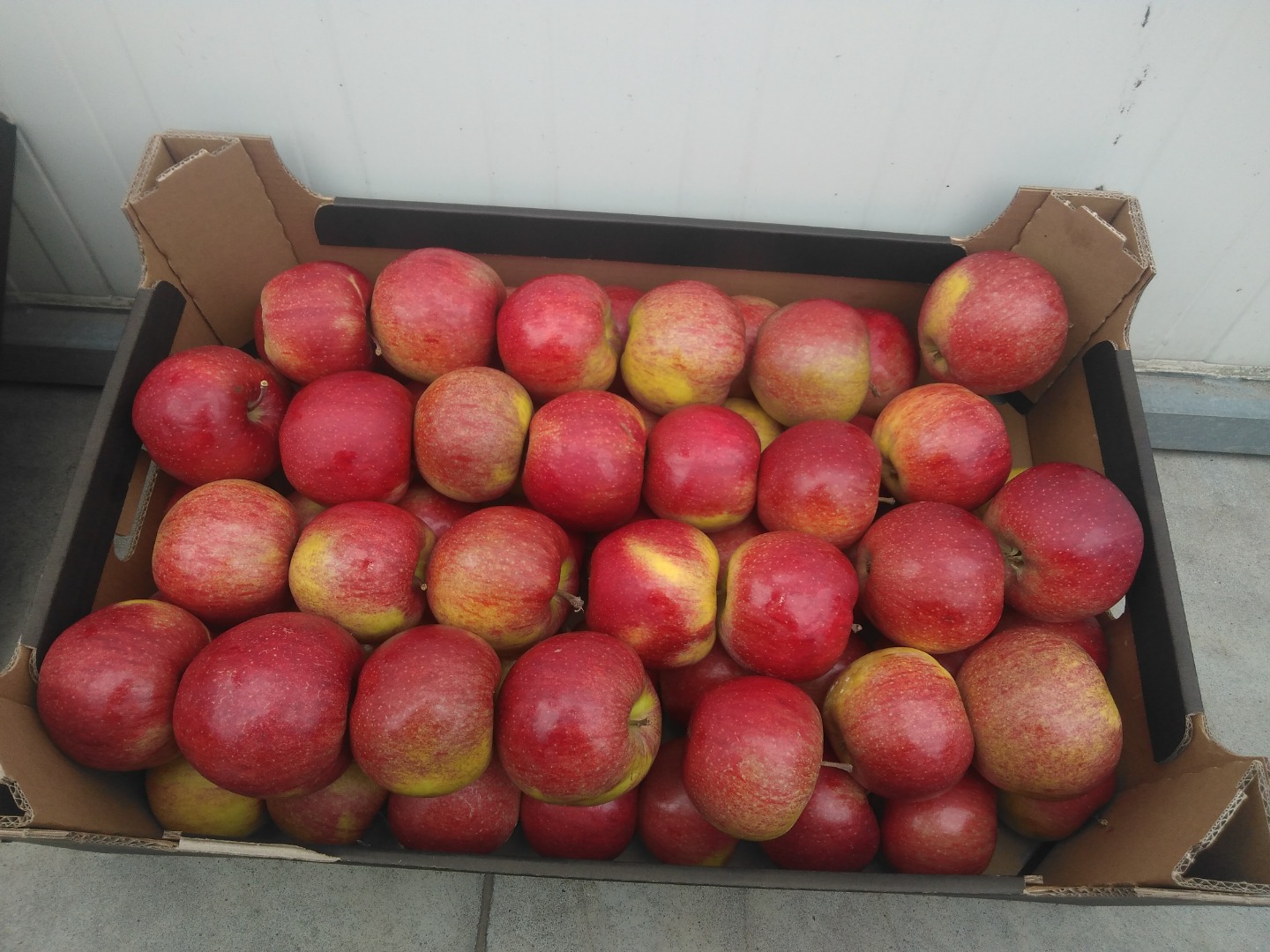 Hola, vendo refrigerado Ligol, Jonagored, Szampio