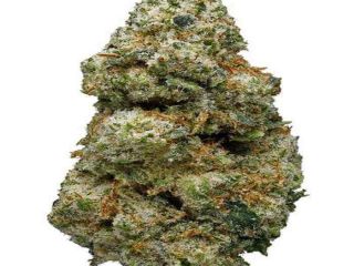 (WhatsApp +1 (518) 460-5325) Compre marihuana y cocaína en
