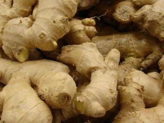 Jengibre fresco de Madagascar (BIO) Tamaño: 50, 60,70,80,100 g