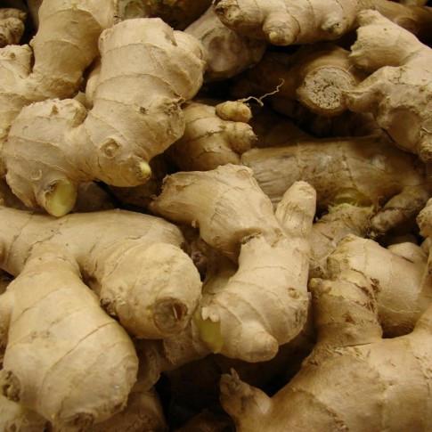 Jengibre fresco de Madagascar (BIO) Tamaño: 50, 60,70,80,100 g Pedido mínimo: 10-50 toneladas País de origen: Madagascar Embalaje: cartón (negociable) Uso: