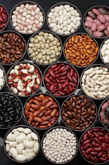 Comercio al por mayor de frijoles con entrega de Ucrania Comercio al por mayor de frijoles