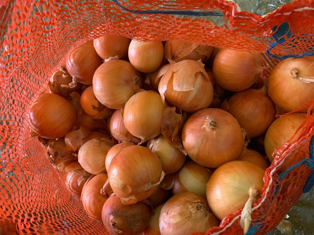 Cebollas de bulbo, ideales para cocinar en restaurantes, cafés, catering