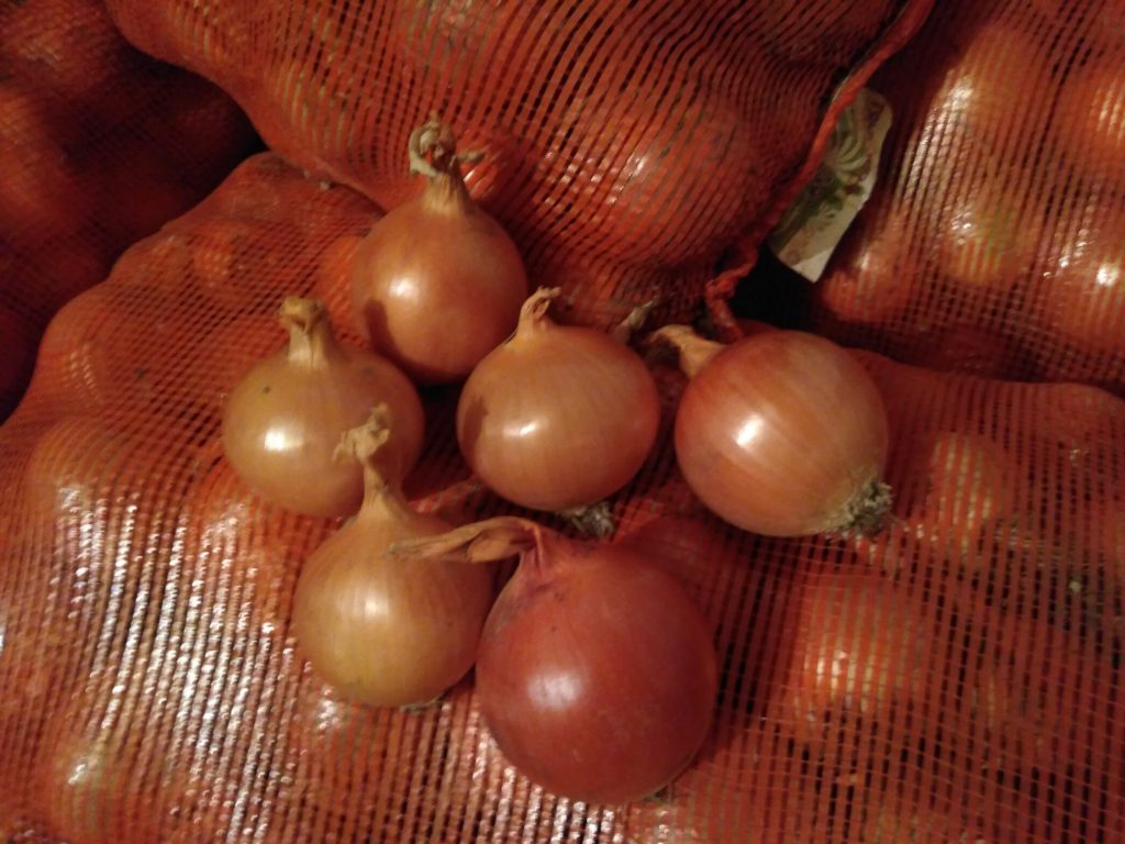 Cebollas de bulbo, ideales para cocinar en restaurantes, cafés, catering