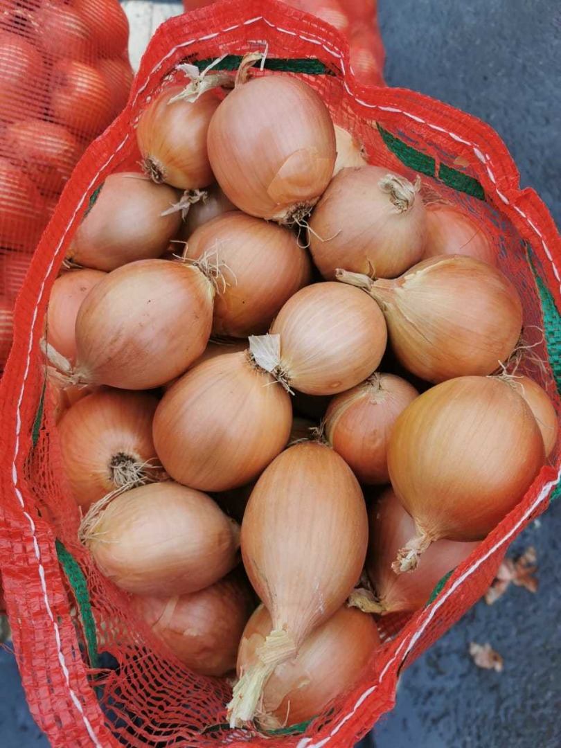 Cebollas de bulbo, ideales para cocinar en restaurantes, cafés, catering