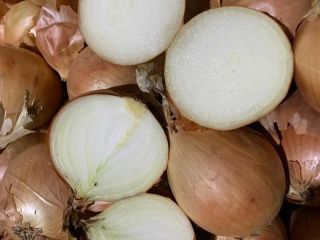 Cebollas de bulbo, ideales para cocinar en restaurantes, cafés,