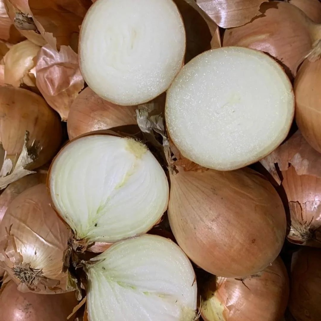 Cebollas de bulbo, ideales para cocinar en restaurantes, cafés, catering