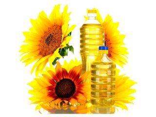 Exportamos grasas y aceites vegetales de alta calidad, ya