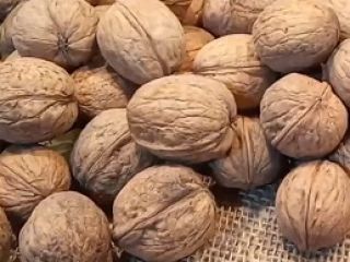 Compramos nueces para la pelea. Trabajamos en las regiones