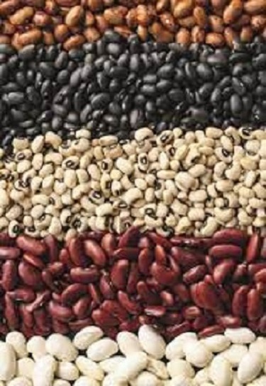 Ofrecemos comprar frijoles de la empresa ucraniana Bins Naturprodukt