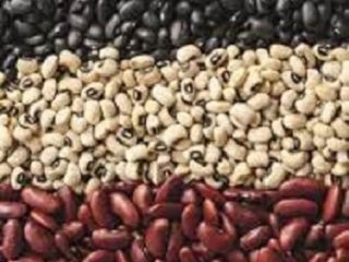 Venta de frijoles Ofrecemos comprar frijoles de la empresa