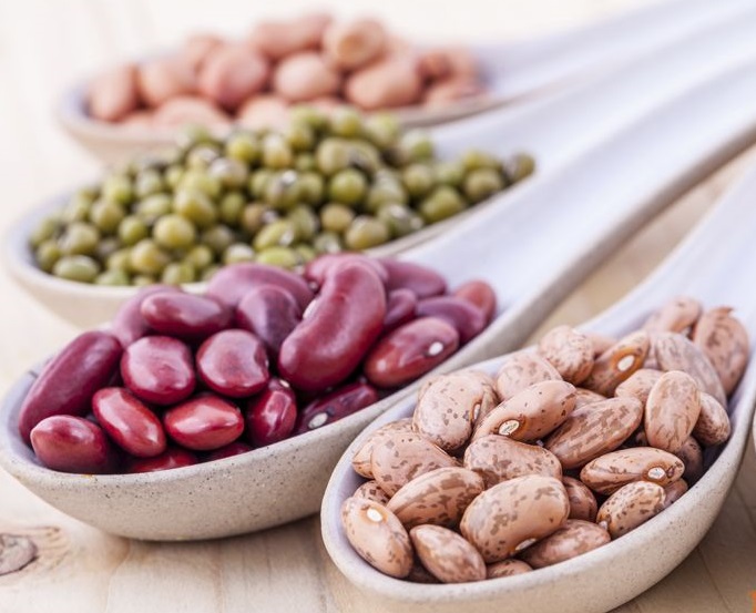 Frijoles al por mayor en stock