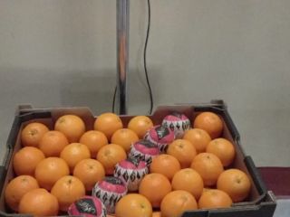 ¡Solo busco compradores serios! podemos proporcionarle: Naranjas. (Mandarín, ombligo)