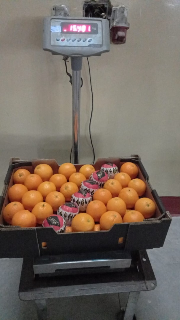 ¡Solo busco compradores serios! podemos proporcionarle: Naranjas