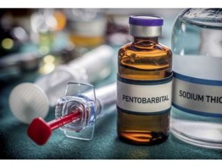 Comprar Nembutal Pentobarbital Sodium Online Nembutal pertenece a la