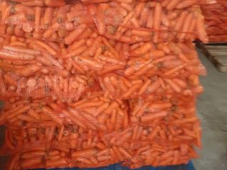 Venderé zanahorias forrajeras 30 gr por kg. Número de