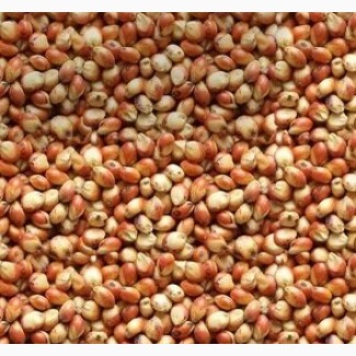 Compro todo el año: - lino marrón, lino dorado (precio 23.500 UAH / 720 $), - frijoles (precio 800 $), - mijo (precio 250 $), - sorgo (precio 240 $)