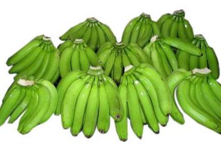 Plátano fresco Cavendish al mejor precio al por mayor