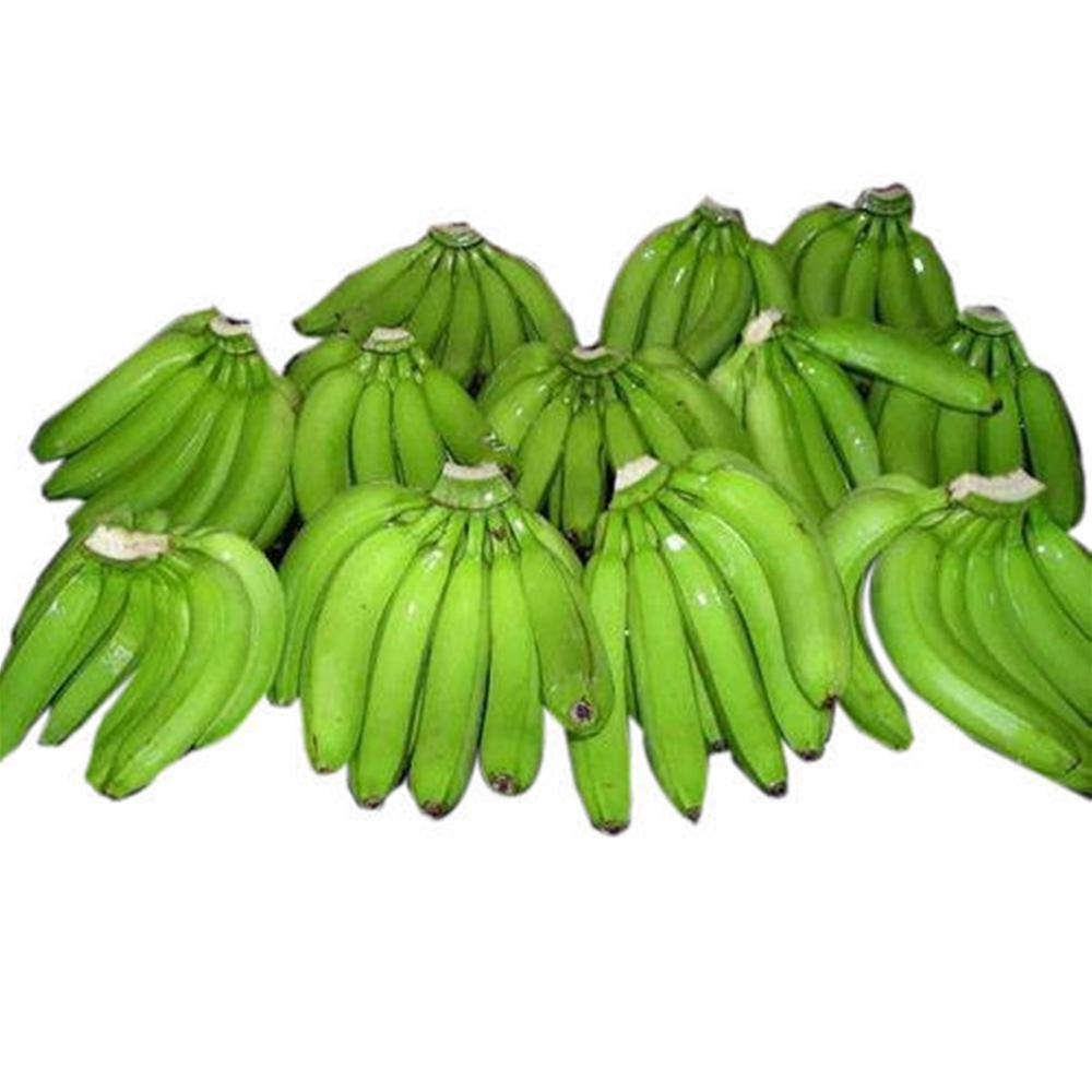 Plátano fresco Cavendish al mejor precio al por mayor Plátano al por mayor al mejor precio al por mayor Somos uno de los Distribuidores, Exportadores