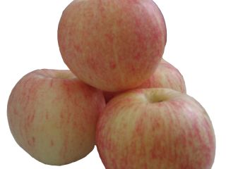 Exportamos manzanas como Fuji, Golden Delicious, Granny Smith, Pink