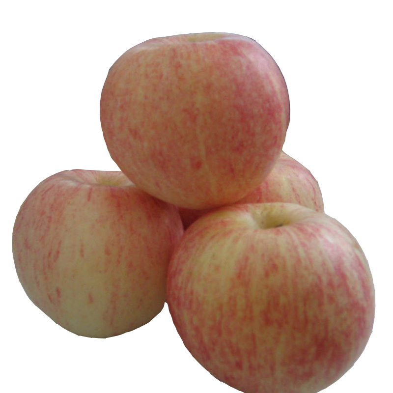 Exportamos manzanas como Fuji, Golden Delicious, Granny Smith, Pink Lady, Royal Gala, Starking, Starkimson, Sundower y Top Red / Red Chief Gala manzana Fruta