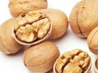 Almendras, anacardos, pistachos, avellanas, betel, avellanas, nueces del Brasil,