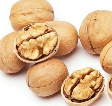 Almendras, anacardos, pistachos, avellanas, betel, avellanas, nueces del Brasil, nueces pecanas, piñones, nueces, nueces de macadamia, castañas