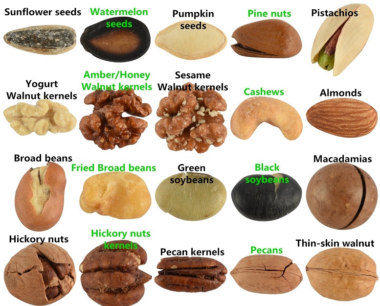 CONTÁCTENOS EN ( ) PARA OBTENER MÁS INFORMACIÓN Almendras, anacardos, pistachos, avellanas, nueces de betel, avellanas, nueces de Brasil, nueces de pacana
