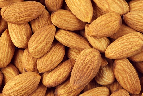 Almendras, anacardos, pistachos, avellanas, betel, avellanas, nueces del Brasil, nueces pecanas, piñones, nueces, nueces de macadamia, castañas