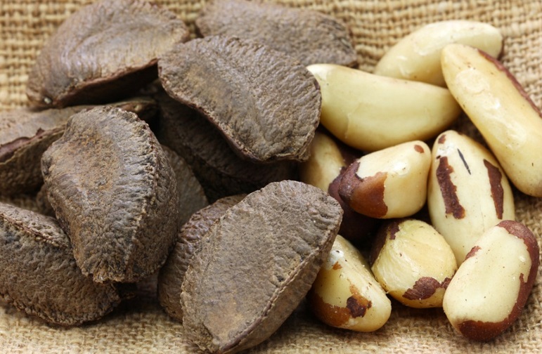 Almendras, anacardos, pistachos, avellanas, betel, avellanas, nueces del Brasil, nueces pecanas, piñones, nueces, nueces de macadamia, castañas