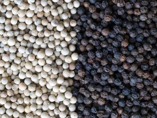 Almendras, anacardos, pistachos, avellanas, betel, avellanas, nueces del Brasil,
