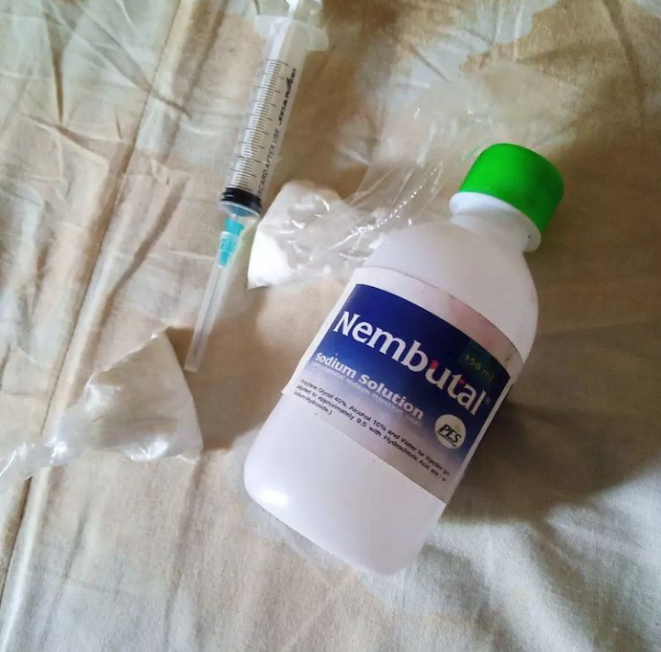 ¿Qué es el pentobarbital? El pentobarbital, también conocido como Nembutal , es un barbitúrico de acción rápida