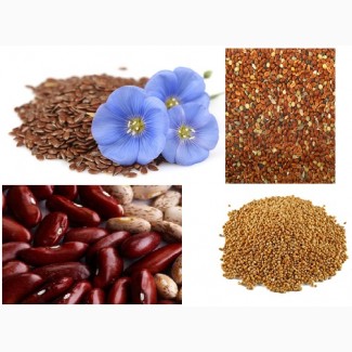La empresa compra lino, sorgo, mijo, frijoles