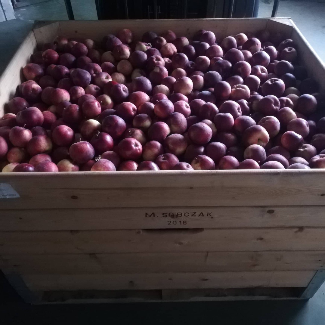Empire Apple a la venta - 18 cajas