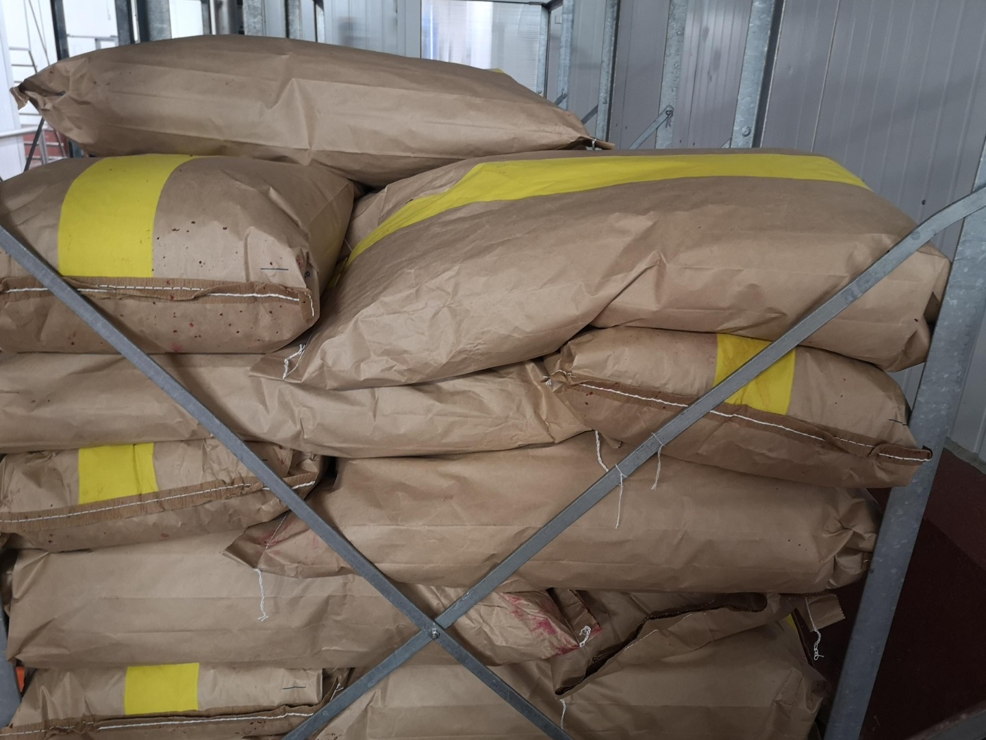 Producimos entre 50 y 70 toneladas anuales de fruta haskap ecológica
