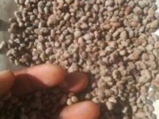 Compre ibogaína, ibogaína hcl, corteza de raíz de iboga,