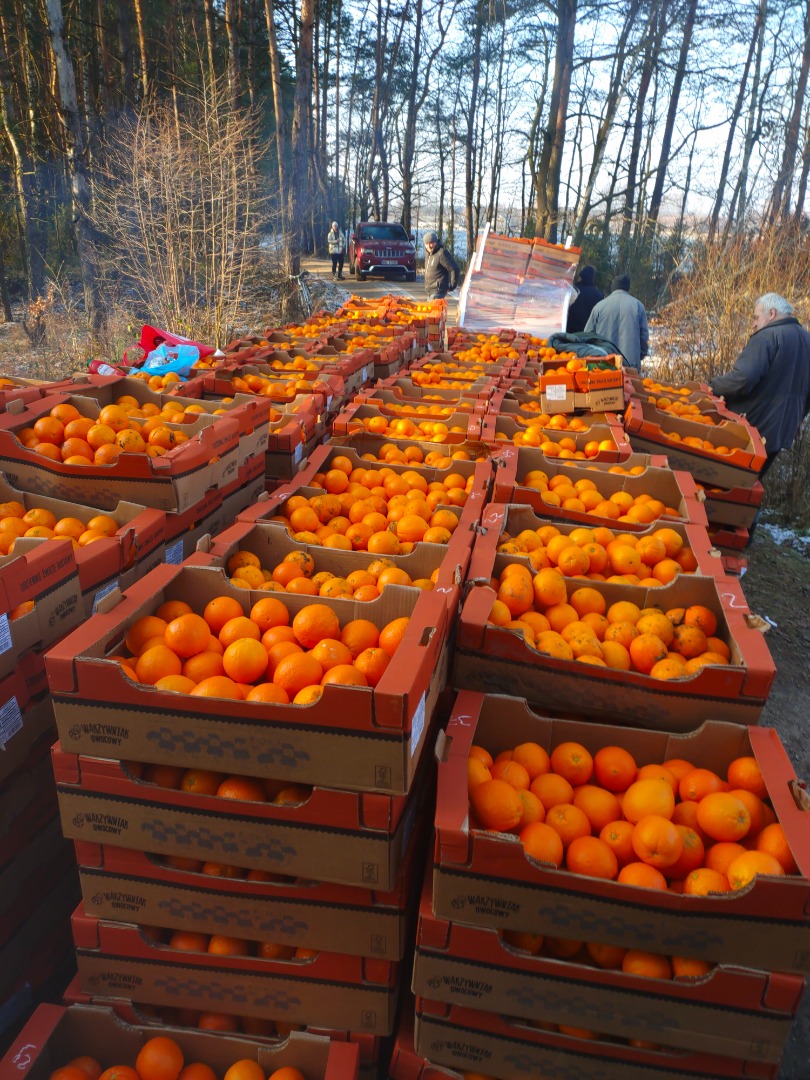 Hola, vendo naranjas para clasificar