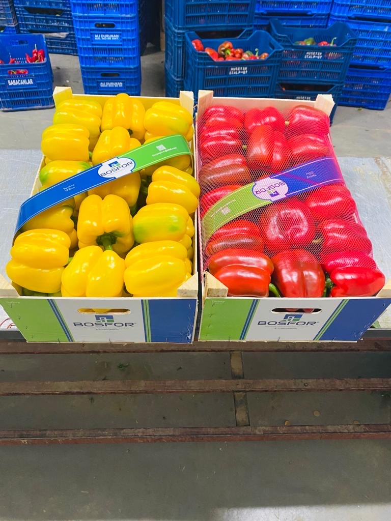 a la venta pimiento rojo california rojo, verde y amarillo procedente de agricultura ecológica
