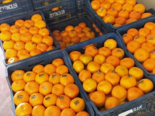 a la venta cantidades al por mayor de naranjas